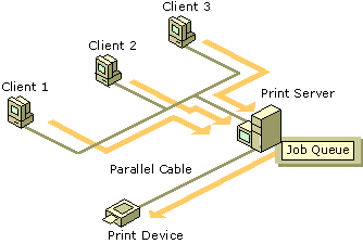 Figure 4.4    Remote, Directly Attached Print Device