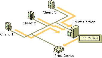 Figure 4.5    Remote, Networked Print Device