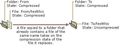 Figure 3.10    Copying a File to a Folder That Already Contains a File of the Same Name