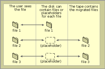 Figure 2.5    File Migration Representation