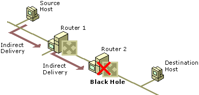 Figure 1.7    Routing Black Hole