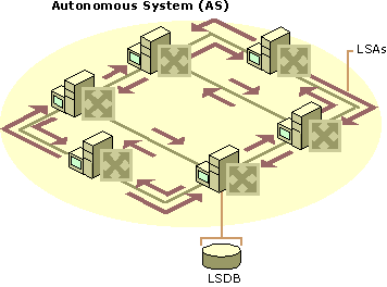 Figure 3.11    OSPF Link State Database (LSDB)