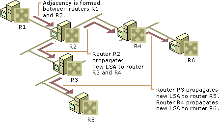 Figure 3.15    New Adjacency Propagation