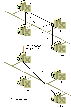 Figure 3.16    Designated Routers on Broadcast Networks