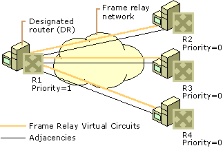 Figure 3.17    Designated Routers on a Frame Relay Network