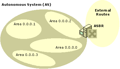 Figure 3.21    OSPF External Routes