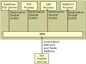 Figure 5.3    Demultiplexing an IPX Packet