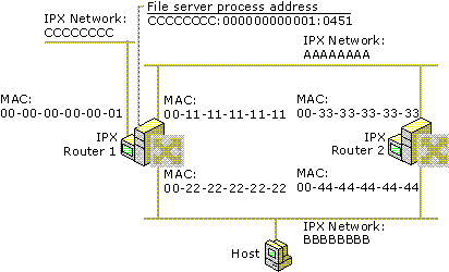 Figure 5.11    After Defining an IPX Internal Network Number