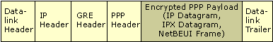 Figure 9.9    PPTP Tunneled Data