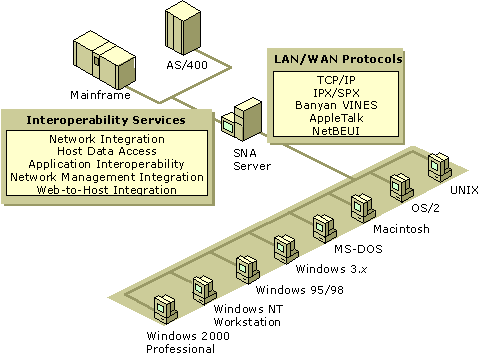 Figure 10.1    SNA Server Integrates Heterogeneous Networks with IBM Host Systems