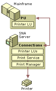 Figure 10.20    Mainframe Printing