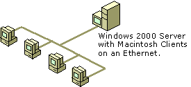 Figure 13.3    Ethernet Network with a Windows 2000–Based Server and Macintosh Clients