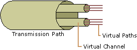 Figure 14.7    Channels Within a Path Within the Transmission Medium