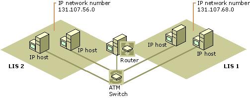 Figure 14.14    Two LISs Running on a Single Switch