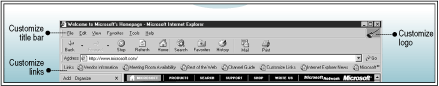 Customized title bar, links bar, and logo