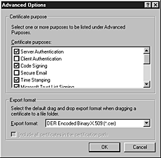 Advanced Options dialog box