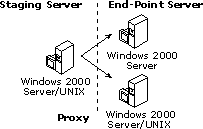 Content Deployment through a Proxy